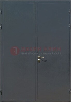 Двухстворчатая техническая дверь ДТ-5 в Омске